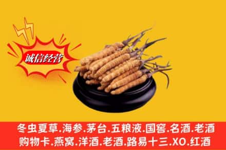 达坂城区回收虫草多少钱每克